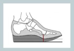 <p>ID & describe the shoe.</p>