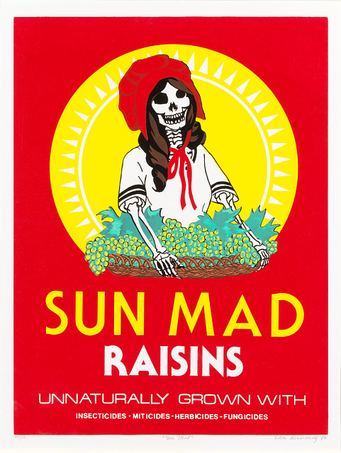 <p>Sun Mad</p>