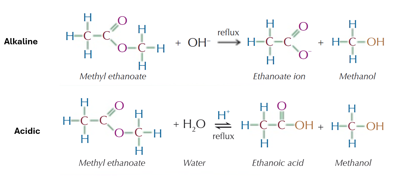 <ul><li><p><strong>Hydrolysis</strong></p></li><li><p><strong>Reagent: </strong>H<sub>2</sub>O</p></li><li><p><strong>Conditions: </strong>acidic or alkaline</p></li></ul><p></p>