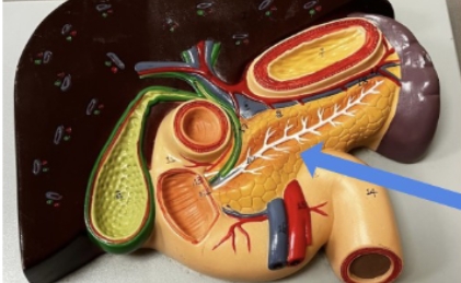 <p>name the parts</p>