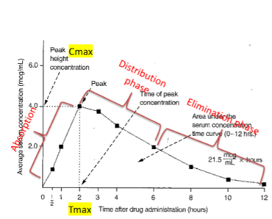 <p>__ is time when Cmax occurs</p>
