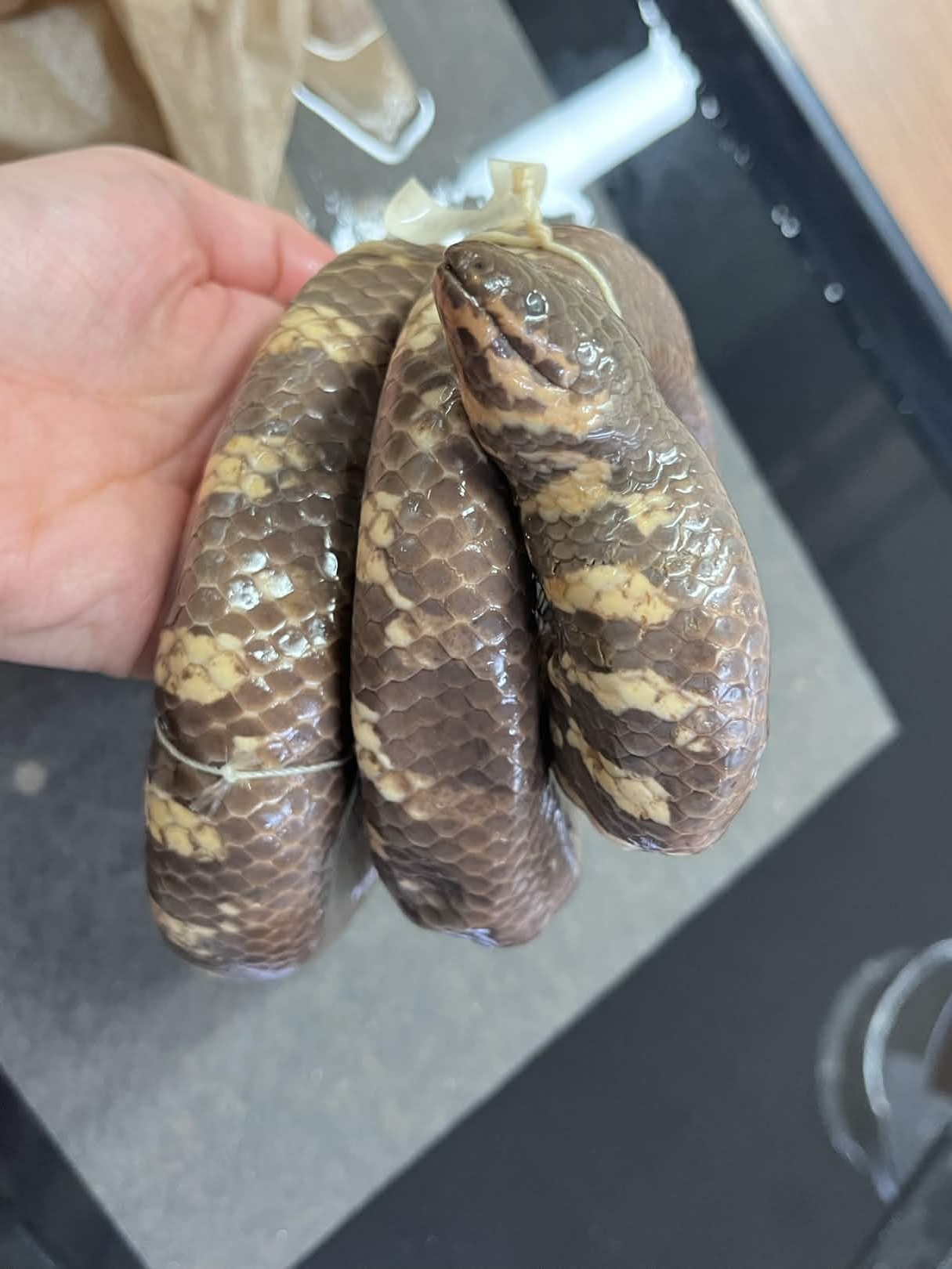 <p>Infraorder + Family?</p>