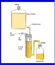 <p>crescimento em sistema aberto com reposição de nutrientes e remoção de desperdícios→ mantém as bactérias em crescimento exponencial durante longos períodos</p><p>ex: quimiostato→ velocidade de entrada de meio fresco= velocidade de remoção do meio</p>