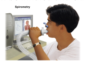 <p><span style="background-color: transparent;">Spirometry parts</span></p>
