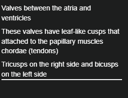 <p>Valves between the atria and ventricles</p>