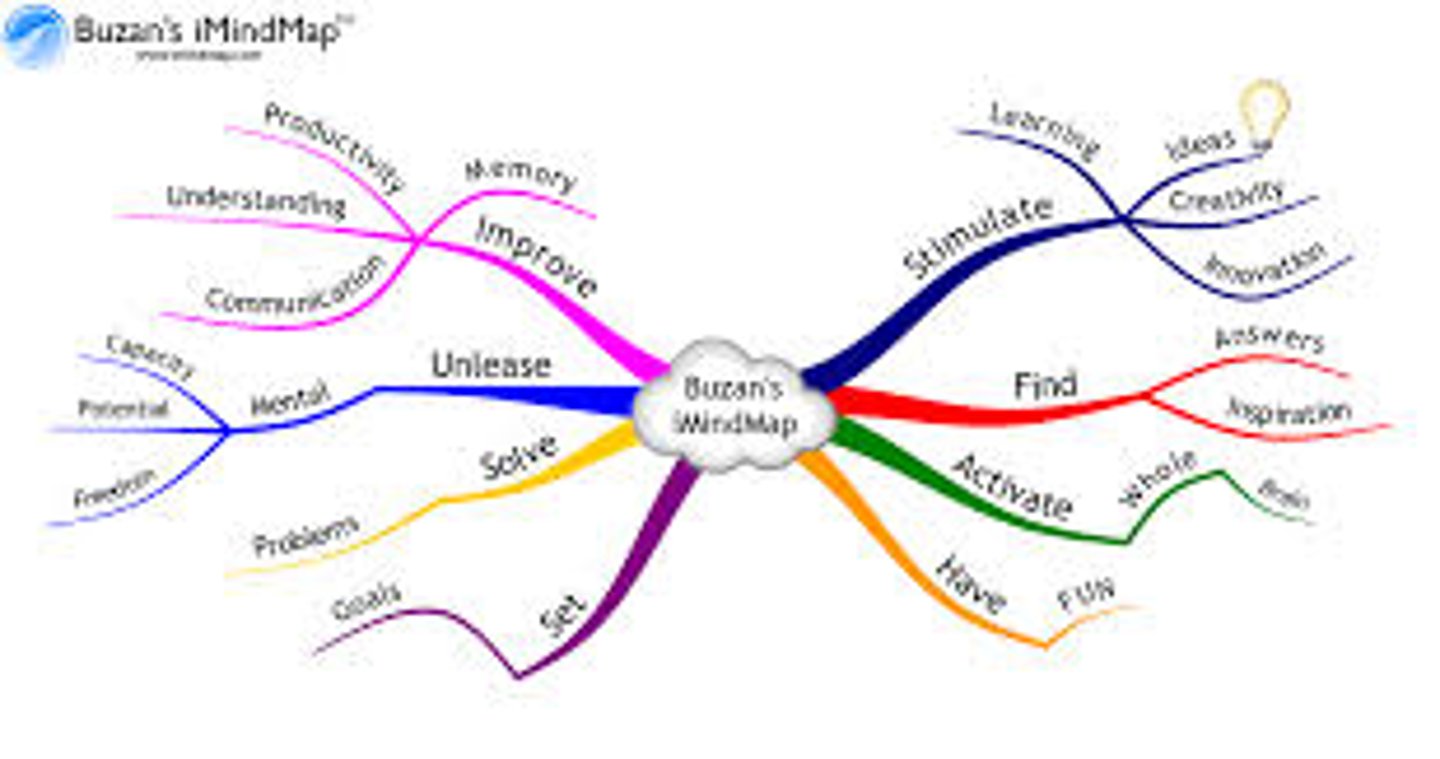 <p>A diagram used to visually organize information.</p>