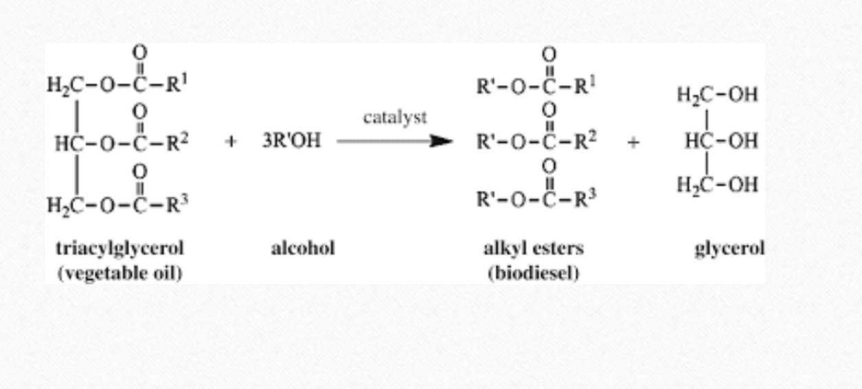 <ol><li><p>Name of reaction is transesterification</p></li><li><p>Mix an alcohol(usually methanol) with NaOH( or KOH), creating sodium methoxide(catalyst)</p></li><li><p>add this to jatropha oil(contains triglyceride), glycerin and biodiesel are obtained</p></li><li><p>glycerin settles to the bottom, biodiesel(methyl ester) floats on top</p></li><li><p>biodiesel is washed and filtered </p></li></ol><p></p><p></p>