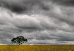 <p>It's cloudy</p>