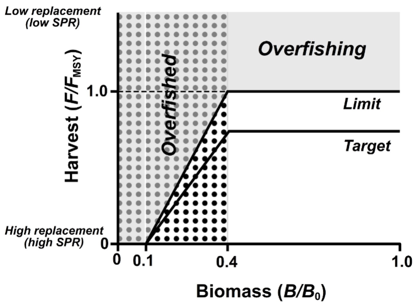 <p>fisheries management set a target (40%) and a limit</p><p>if stock falls below 40% —> adjust fishing</p><p>if stock falls below 10% —> close fishery</p><p>get the first dots, if we get all the dots then yay but any more is overfishing</p>