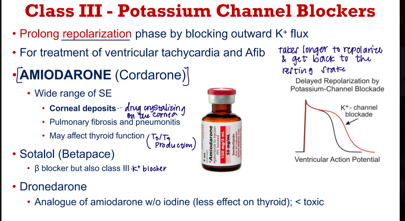 <p>Potassium channel blockers prolong the repolarization phase by blocking efflux of K+</p><ul><li><p>Amidarone (coradarone)</p></li></ul><p></p>
