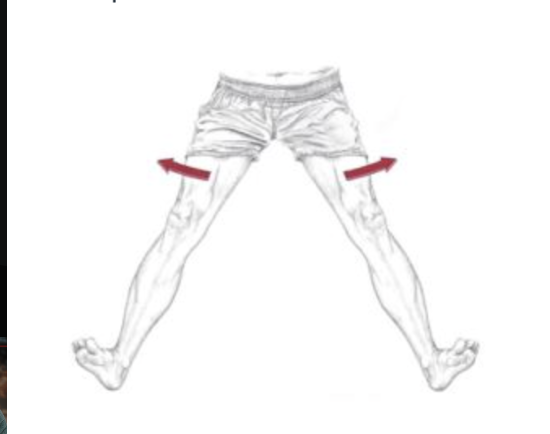 <p><span>Which of the following are the synergists of the motion depicted below? Select all that apply.</span></p>