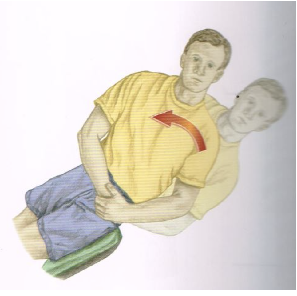 <p><span>Categorize the listed muscles as either agonists/synergists OR antagonists for the motion pictured below. NOTE: Some muscles will not be classified. NO partial credit</span></p>