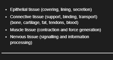 <p>Epithelial tissue, Connective tissue, Muscle tissue, Nervous tissue </p>