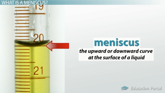 <p>meniscus</p>