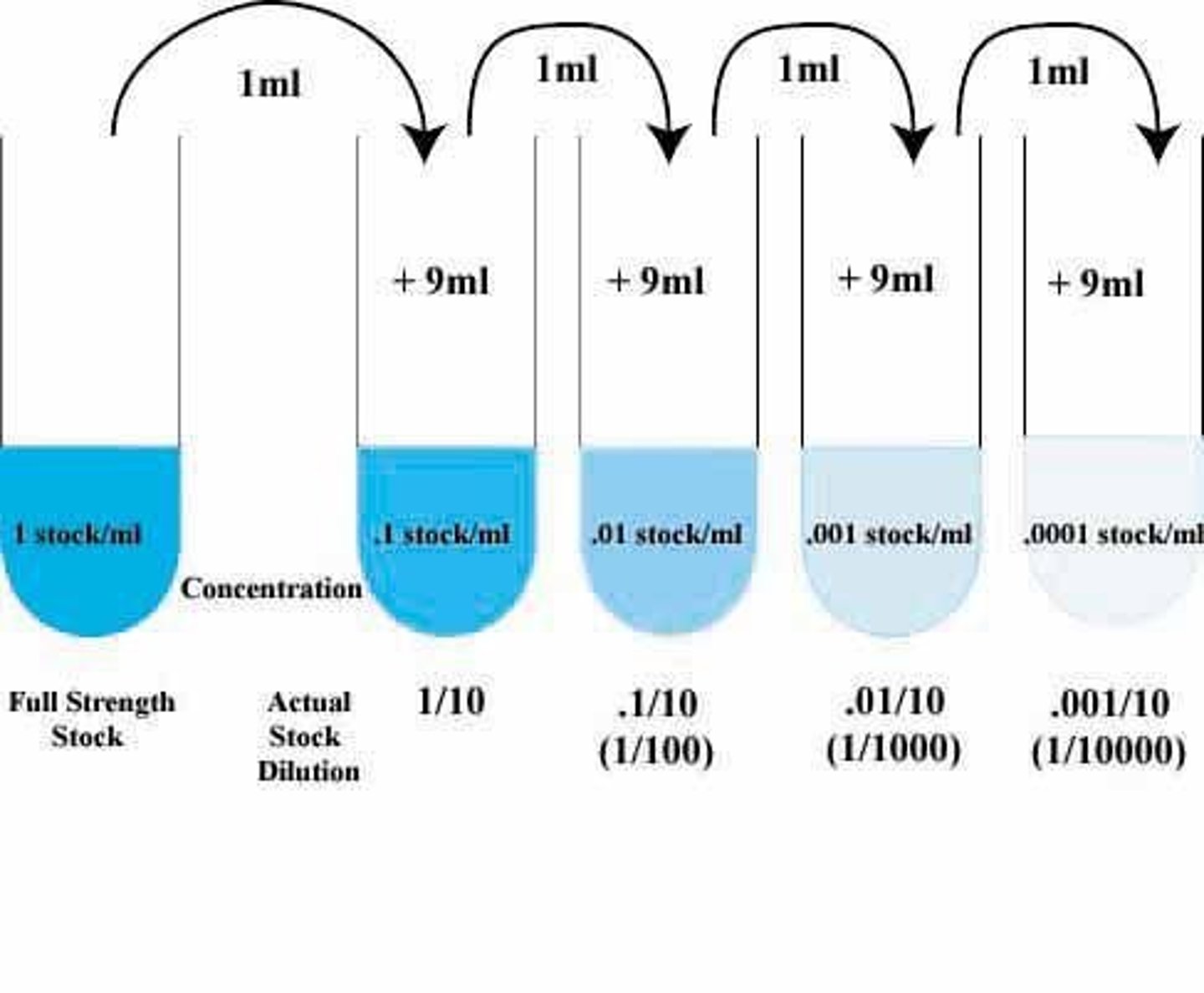 <p>A series of solutions, each diluted from the previous one (not from the original each time).</p><p>e.g. 1ml of solution added to 100ml water โ dilution of 1:100, carried forward each step</p>