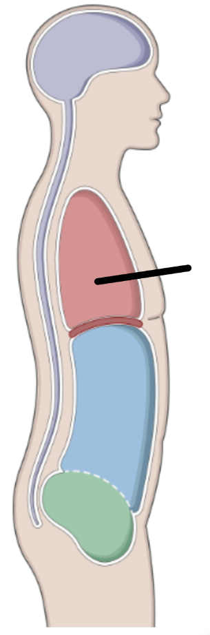 <p></p>