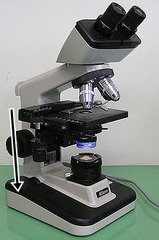 <p>What part of the microscope does the arrow indicate</p>