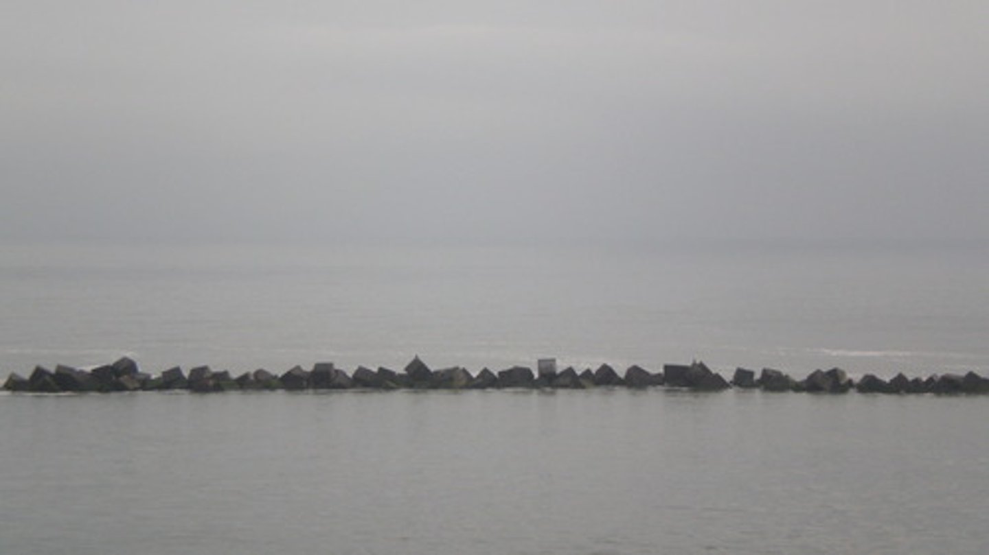<p>gris</p>