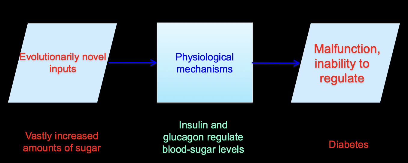 <p>(Extra sugar intake from candy, soda, and other processed sugary food)</p>
