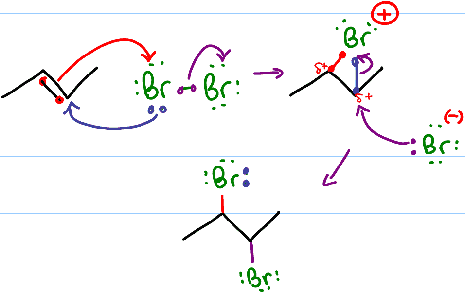 <p>☆ <strong>how does a halogen add to an alkene?</strong></p>