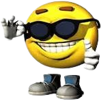 <p>List the amount of squadrons in the unit and name all the Officers in those squadrons</p>