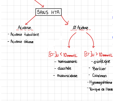<p>L'hypomagnésémie est une <strong>cause d'hypokaliémie</strong> avec <strong>perte rénale</strong></p><p></p><p>Sans HTA, sans acidose, Cl<sup>- </sup>u > 10 mmol/L</p><p></p><p>Elle <strong>empêche la correction efficace du potassium.</strong></p>