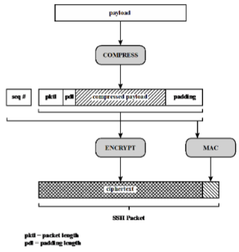 <p>SSH Packet Structure</p>