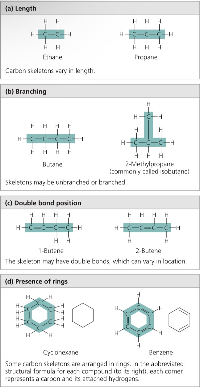 <p>Compounds with same molecular formula but different structural formula = different properties</p>