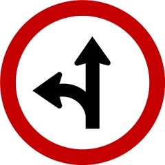 <p>you can turn left or go straight ahead</p>