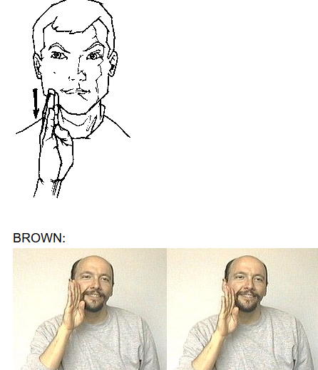 <p>dom hand makes “b” place on upper cheek and move downwards on jaw towards chin</p>