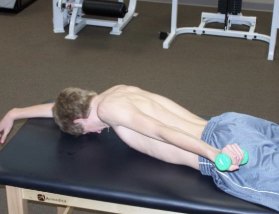<p>The subject is prone, with the shoulders resting in 90° forward flexion. From this position the subject performs bilateral extension to neutral position, with the shoulder in neutral rotation.</p><p>Note: MT and LT active prior to PD</p>