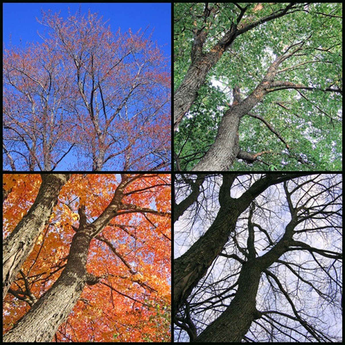<p>the process of becoming different and developing all the time without stopping; continuous change; ongoing transformation</p>