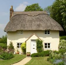 <p>thatched house </p>