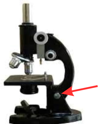 <p>Hinge allowing the upper microscope frame to tilt on select models.</p>