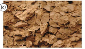 <p>Identify the structure</p>