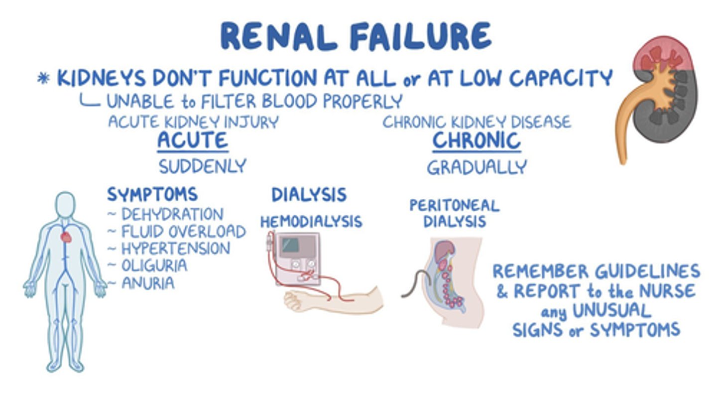 <p>A) Acute renal failure is characterized by a sudden loss of renal function, while chronic renal failure involves the gradual irreversible destruction of the kidneys over a long period of time.</p>