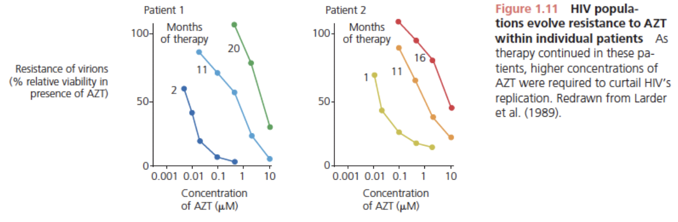 <p>What evidence in the graph supports the conclusion that HIV evolved resistance?</p>