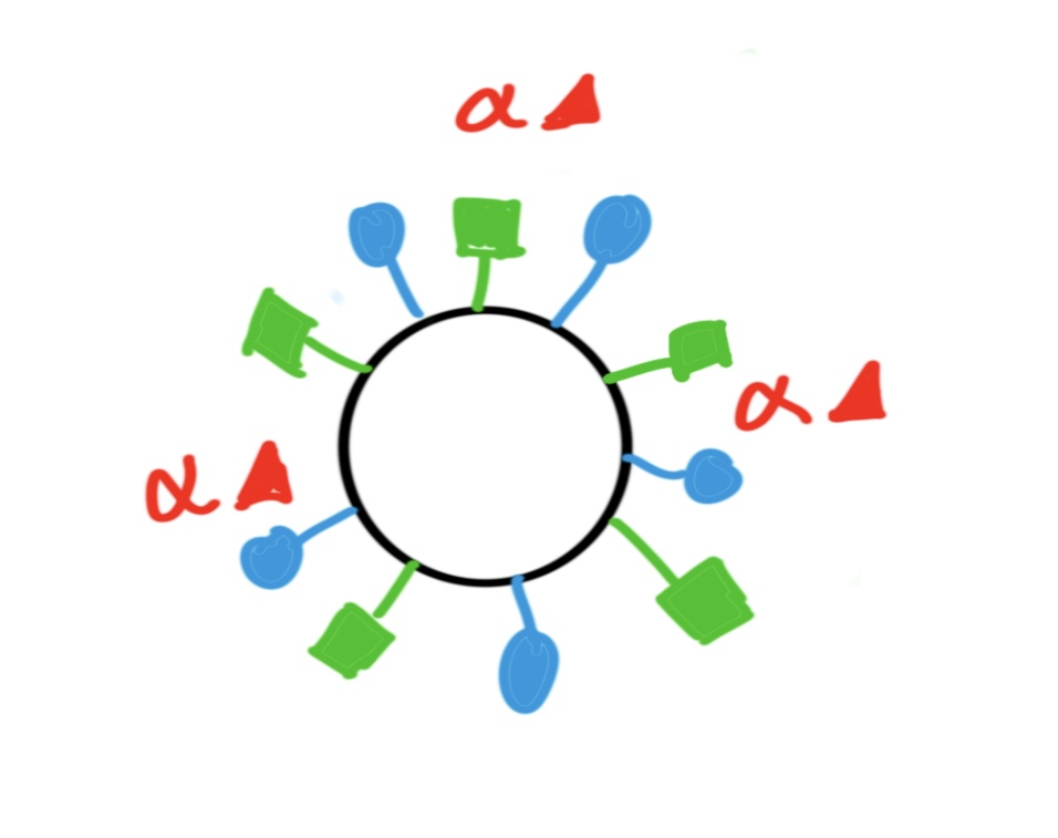 <p>B+ blood can donate to __?</p>