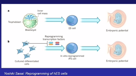 <p></p><p>Organoids zijn:</p><p><span><strong>3D mini-hersenen gekweekt uit menselijke stamcellen.</strong></span></p><p>Voordelen:</p><ul><li><p><span>menselijke genetica</span></p></li><li><p><span>menselijke ontwikkeling</span></p></li></ul><p>Nadelen:</p><ul><li><p><span>minder georganiseerd</span></p></li><li><p><span>geen bloedvoorziening</span></p></li><li><p><span>beperkte maturatie</span></p></li></ul><p>&nbsp;</p>
