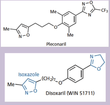 <ul><li><p>used against picornaviruses (polio, hepatitis A, FMD)</p></li><li><p>MOA: bind to a pocked in the capsid of the virus to prevent release of viral RNA</p></li><li><p>examples: pleconaril and disoxaril </p></li></ul><p></p>