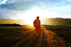 <p>To walk</p>