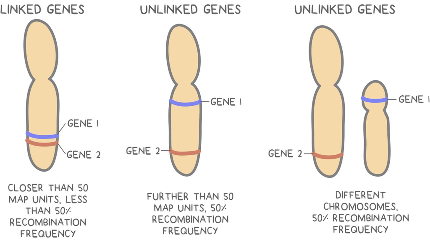 <p>linked</p>