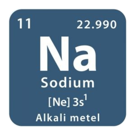 <p>Sodium</p>