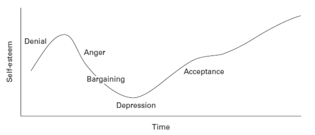 <p><strong>The Kübler-Ross model</strong></p>