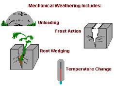 <p>Các hoạt động phân tích chi tiết</p>