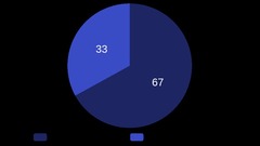 <p>33%</p>