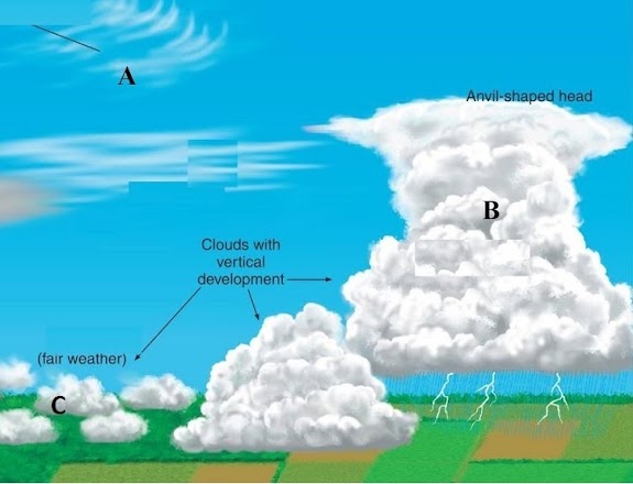 <p>Cumulonimbus Clouds</p>