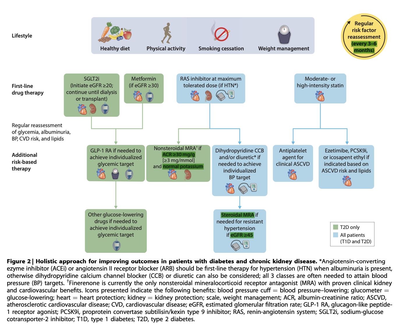 <ul><li><p><strong>Answer:</strong> b</p></li><li><p><strong>Reference:</strong> KDIGO 2022 Diabetes Guideline, Chapter 1: Comprehensive care, Page S19-20.</p></li><li><p><strong>Explanation:</strong> <strong>Option b</strong> is recommended for patients with persistent albuminuria despite max RASi. <strong>Option a</strong> treats BP but isn't primary renoprotection; <strong>Options c and d</strong> are glycemic agents with neutral/minimal kidney outcomes.</p></li></ul><p></p>