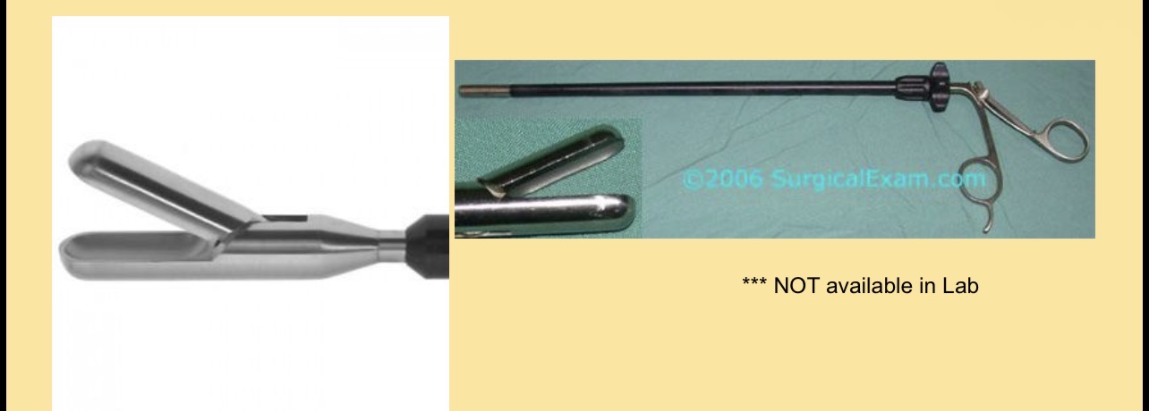 <p>What instrument is this </p><p>What category is this in </p>
