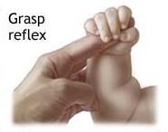 <p>curling of fingers if palm is stroked</p>